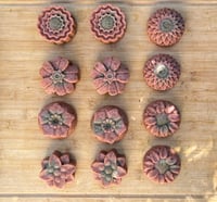 Image 2 of WABI-SABI Roses & Oats Soap / Jabón de Rosas y Avena 3oz