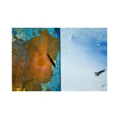 Image of CY DUNE - Where the Wild Things Diptych #2 (Blue, Orange, White)