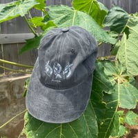 Image 1 of Kole Adult Dad Hats