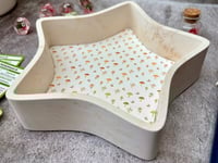 Image 2 of Star Shaped Mushroom Print Dice Tray