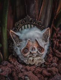 Image 1 of WHITE BAT FRAME