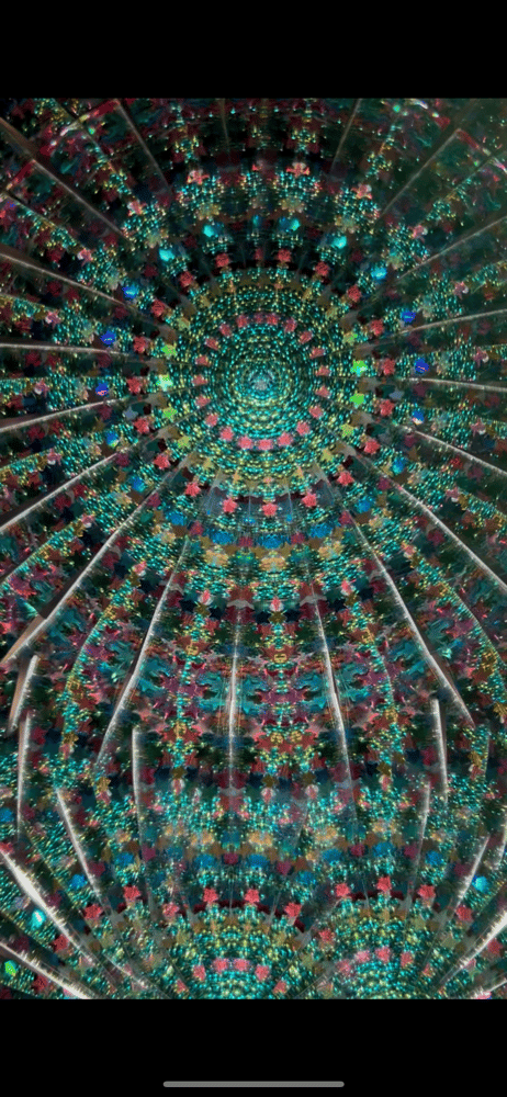 Image of Succulent Garden Mini AuraScope 