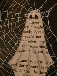 Image 2 of 1800’s biblical Ghost with preserved spider web - ornate black frame.