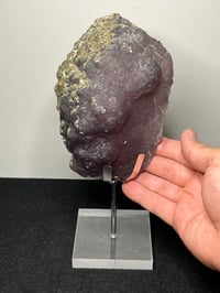 Image 14 of Purple Botryoidal Fluorite With Cubic Pyrite Display Specimen #2662