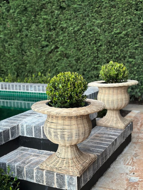 Image of Wicker Urn 