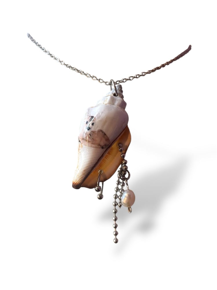 Fawn 02