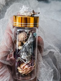 Image 5 of Reserved for Jennifer !!! Baby dove 