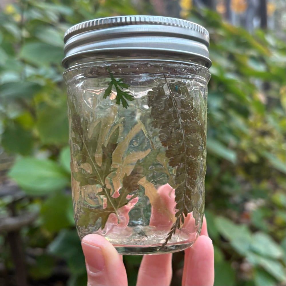 Image of floral 8oz jar greenery
