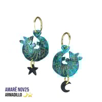 Armadillo ⭐️🌙