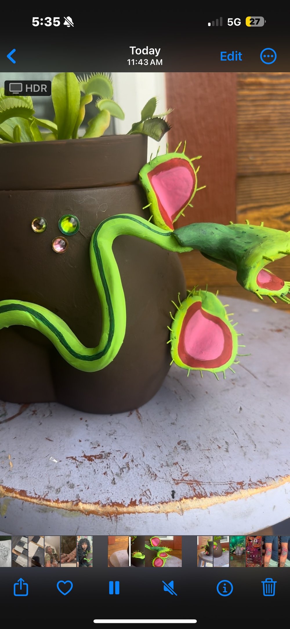 Image of Venus fly trap planter 