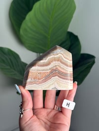 Image 8 of CHOOSE YOUR OWN BANDED CALCITE FREEFORM -UTAH- 