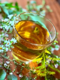 Image 3 of Mother Nature’s Tea