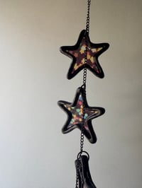 Image 2 of Cosmic Stars