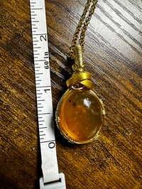 Image 3 of Tree Bark Amber 