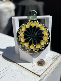 Image 2 of Queen bee