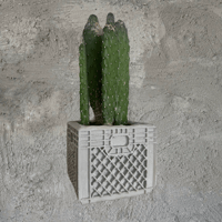 Crate Planter + Cacti