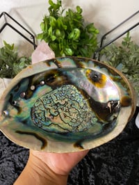 Image 3 of Extra Large Abalone Shell 
