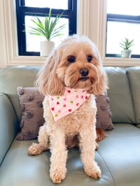 Image 1 of Valentines Bandana