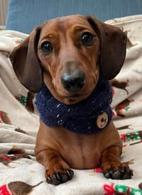 Image 4 of Snazzy Twisted Neck Warmer 