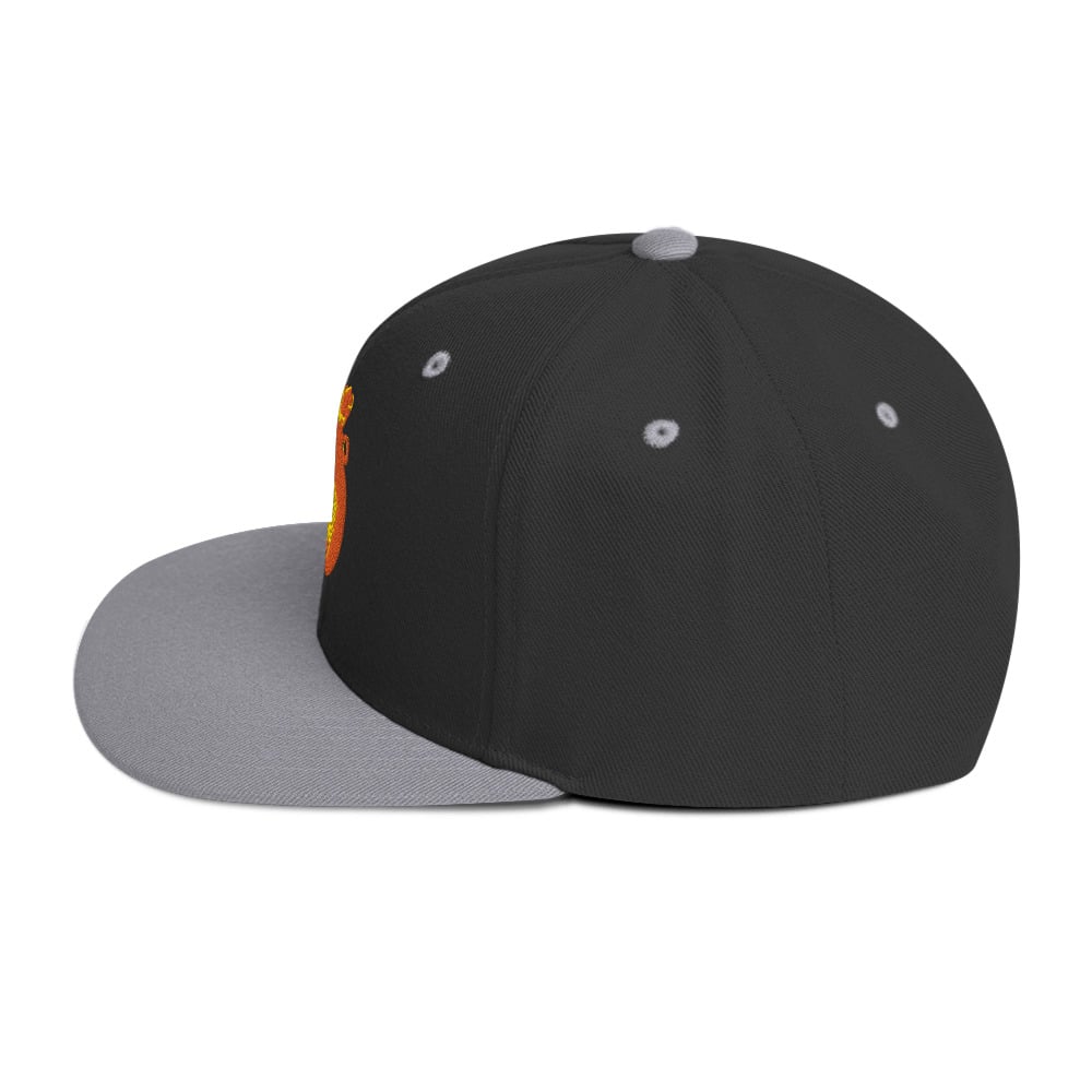 ZEN EXP - "COINS" Snapback Hat