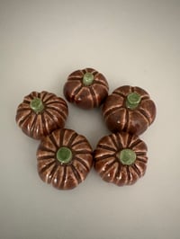 Image 4 of Pwmpenni bach / Tiny pumpkins 