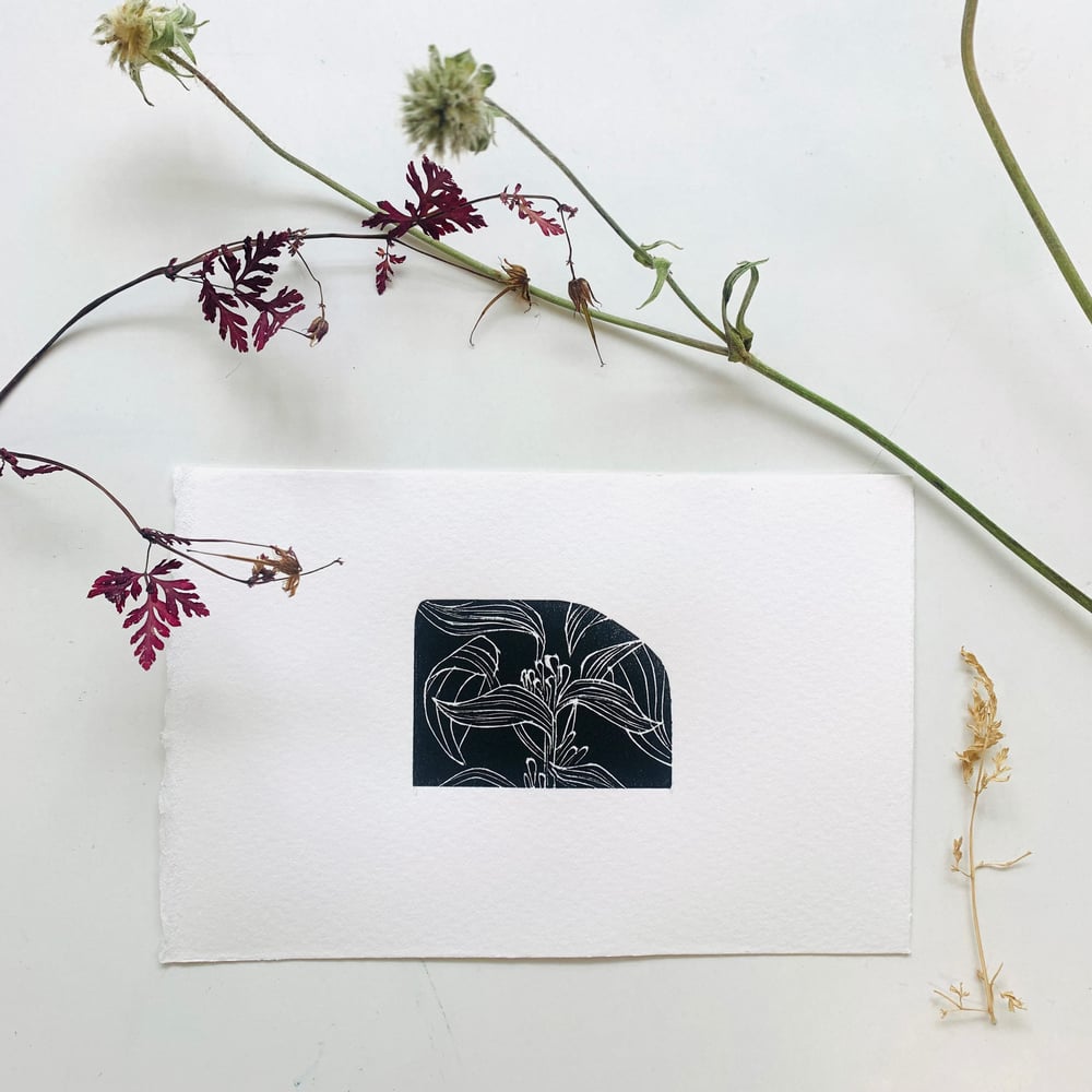 Image of Bird of Paradise Flower, Kew Gardens Wood Engraving 