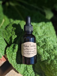 Image 2 of Mullein Tincture