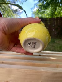 Image 5 of Coppertone Stonecrop in Yellow Chick