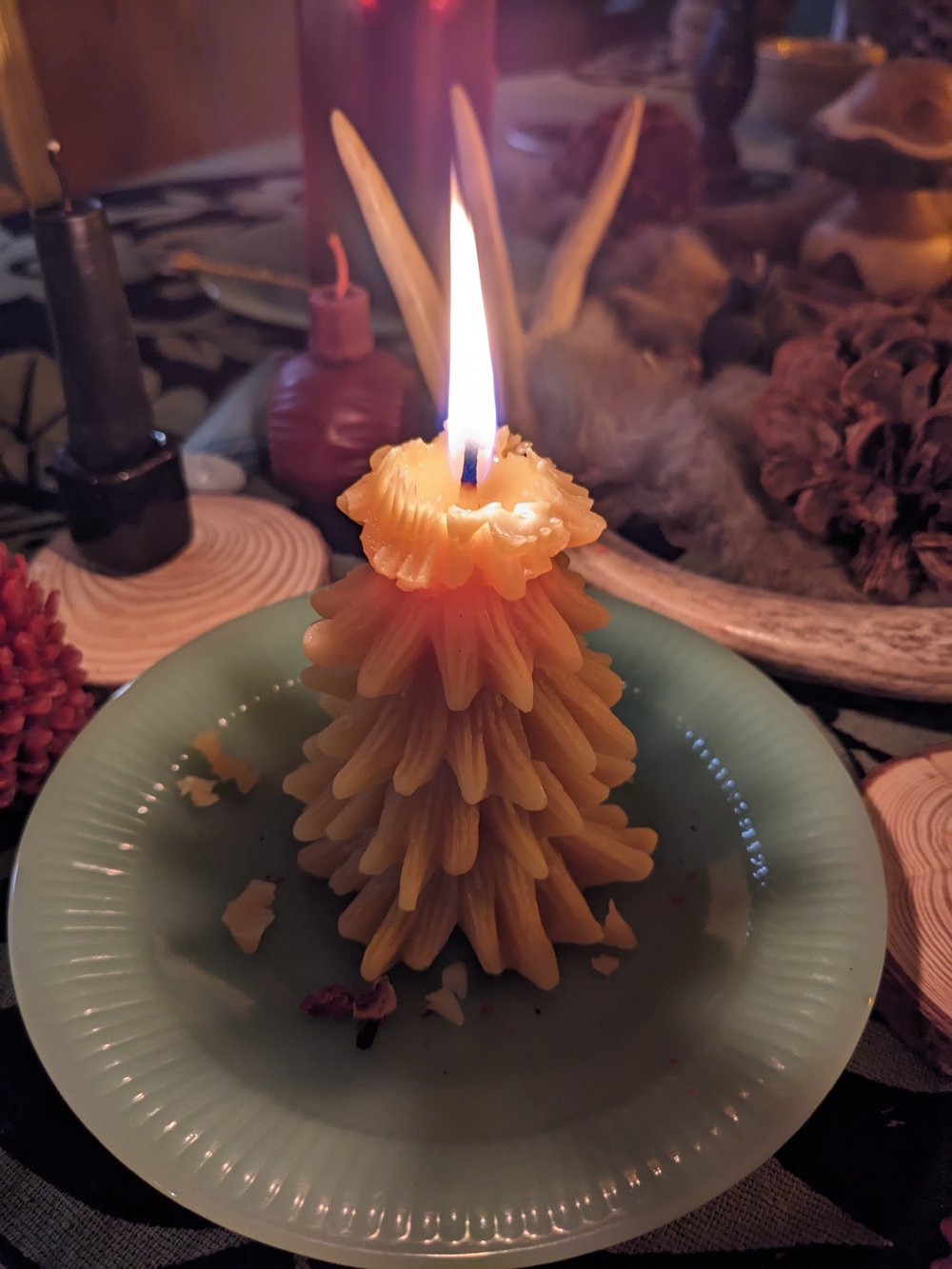 Image of Pine Tree Candle 