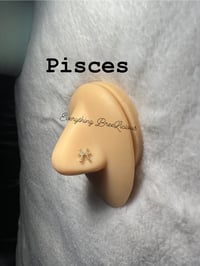 Image 10 of Zodiac Signs Nose Studs
