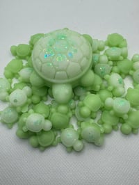 Image 2 of Turtle scoopie box 