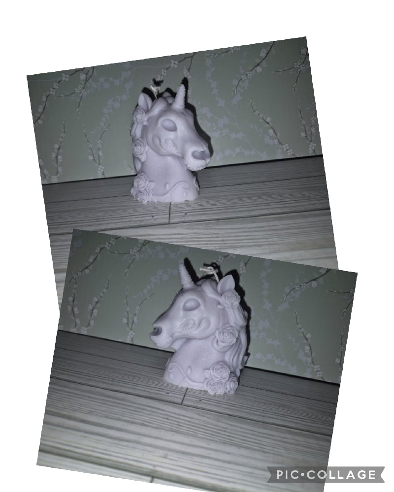 Image of My Little Macabre Unicorn.
