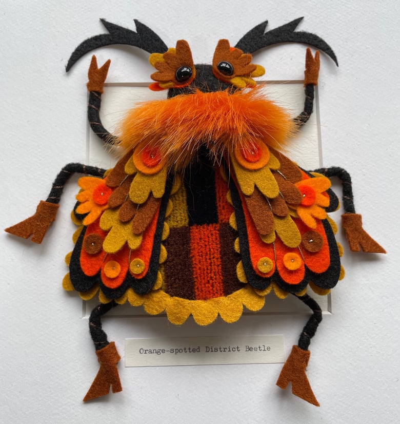 Image of Orange-spotted District Beetle