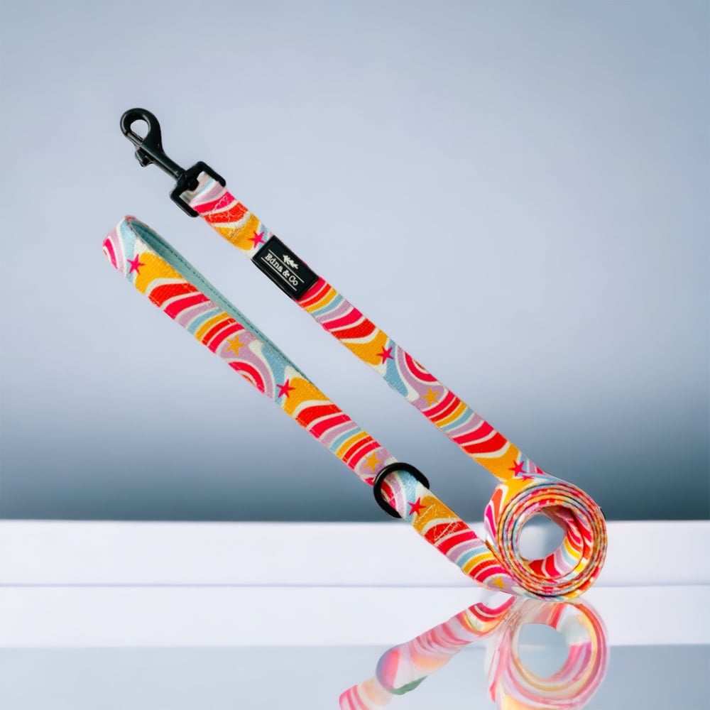 Image of Retro Stripes Collection - Pet Leash