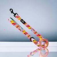 Retro Stripes Collection - Pet Leash