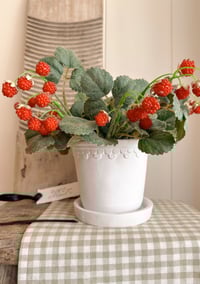 Image 2 of Raspberry Bundle ( 4 Sprays included )