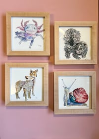 Image 2 of Tiny Prints Framed in Maple