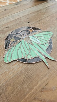 Image 2 of Luna moth