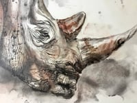 Image 2 of Rhino