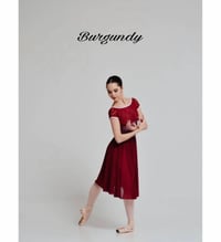 Image 11 of Chiffon Rehearsal Circle Skirt 1