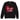 "HIS"STORY Youth/Boys crewneck sweatshirt