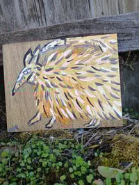 Image 9 of Fox 