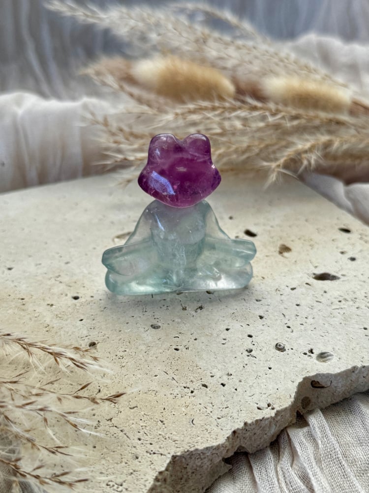Image of Fluorite Frog Carving 