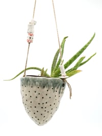 Image 4 of Hanging Planters 