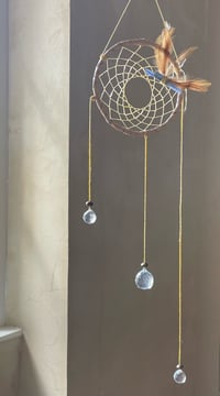 Image 3 of Prism Dreamer-Cream III