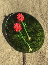 Image 1 of Daisy Fuchsia