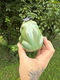 Image 4 of Frogs 