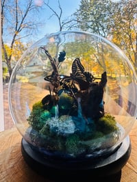 Image 4 of Multi Bug Terrarium 