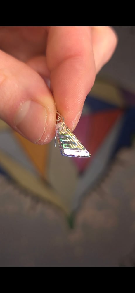 Image of Optical Wedge Earings 