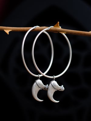 Image of BOBCAT CLAW HOOPS